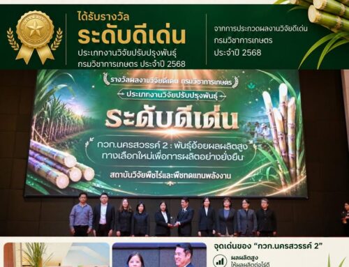 HUBCS NEWS | ขอแสดงความยินดีกับผลงานวิจัย “กวก. นครสวรรค์ 2” คว้ารางวัลระดับดีเด่น