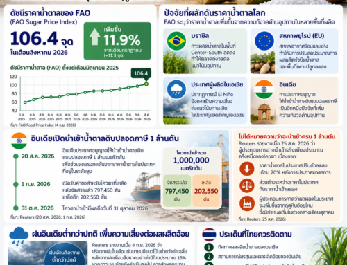ราคาน้ำตาลโลกเพิ่มขึ้น 11.9% จับตาความเสี่ยงด้านอุปทานในฤดู 2026/27